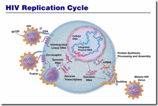 aaaaprincehivreplication