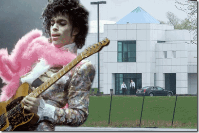 aaaaprincepaiseyhome