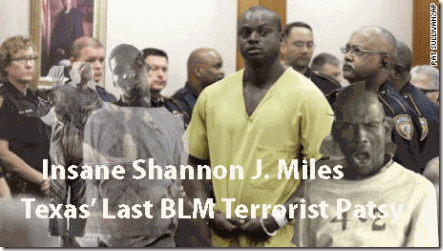 aaaaamicahinsaneshannon