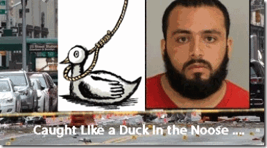 myconfusionduckinnoose