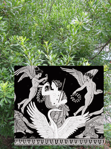 ladygagamyrtleaphrodite