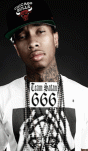 tyga666