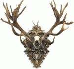 pickaninnyrothschild