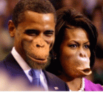 copyrightobamamonkey
