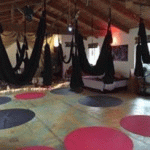 hartdogsheatherritual