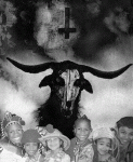 abrowngoat2