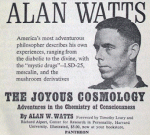 awavywatts